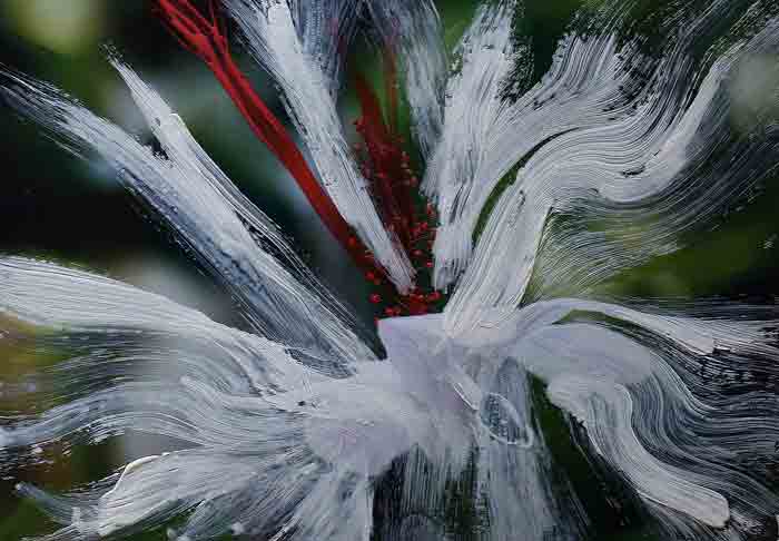 armonia